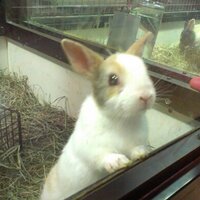 Gabrielle34000 (@gabrielle34000) 's Twitter Profile Photo