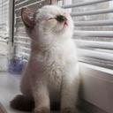 karina madrid - @mavis_koneko - Twitter