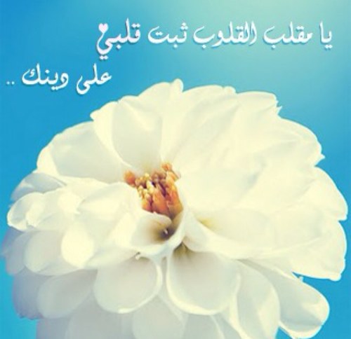 ياأيها الراجون منه شفاعة ً & صلوا عليه وسلموا تسليما