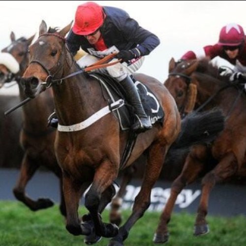 TippingFLY's profile picture. british tipsters sharing current success
#flytipping