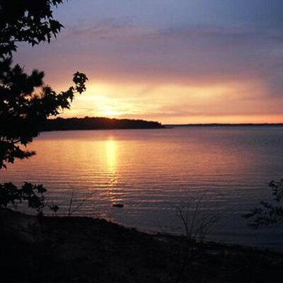 Profile Picture of Donnis E. Davis (@donnicedavis) on Twitter