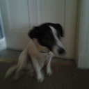 Aaron Strickland - @aaronmarc20 - Twitter