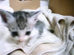 a_hiro10's profile picture. 