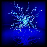 katie bogardus (@katiebogardus) 's Twitter Profile