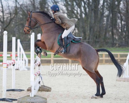 SarahCherry65's profile picture. 