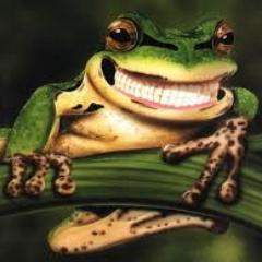 Bot de denuncia por mal servicio, estafa, sobreprecios, corrupción, irregularidades, etc | Denuncia de forma anónima vía DM | No te lo guardes, Sapealos!!