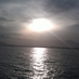 salih secer (@secersalih) Twitter profile photo