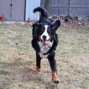 Denise Moriarty - @DeniseGortze - Twitter