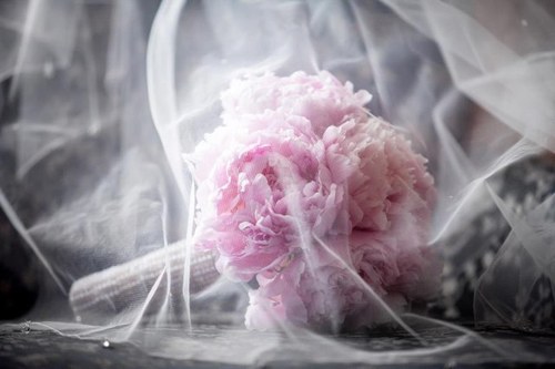 flowerfullbloom's profile picture. Cardiff. Florists for all occasions. Passionate about flowers!