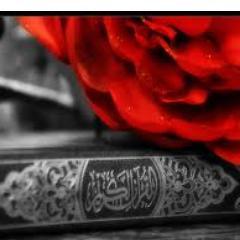 Follow m'n ander account ook @islamjust4you ik tweet daar het meest islamitisch, djazak allahu ghair! ♥