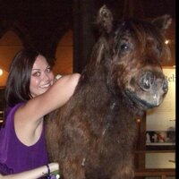 Helen (@helzard) 's Twitter Profile Photo