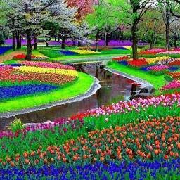 margolidi's profile picture. 