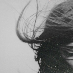 photographer/music business   http://t.co/o0QffvI740
