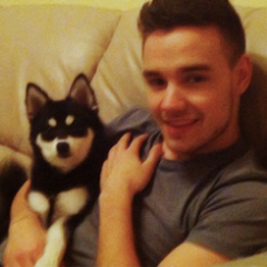 29/08/1993 - Wolverhampton, West Midlands, Inglaterra - Liam James Payne .