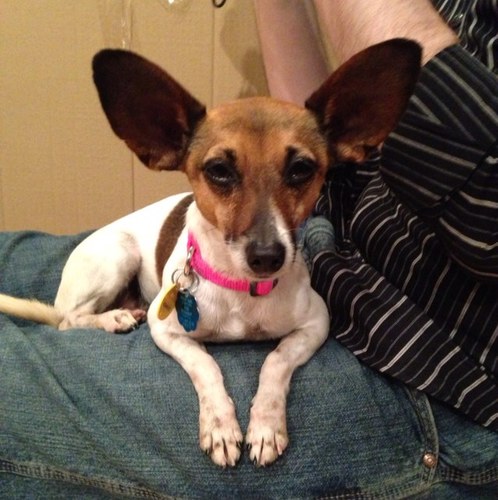 Eggyplanda's profile picture. 