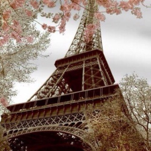 instamoodd's profile picture. 