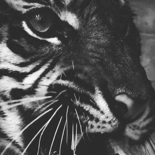 WRenee9's profile picture. 