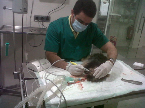 BarrosoLorenzoR's profile picture. 