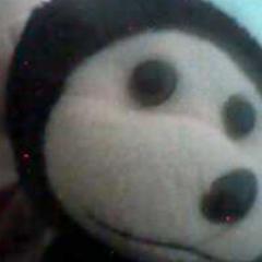 monkeymagicCL's profile picture. I'm Monkey Magic and you cant stand to look at me. CL