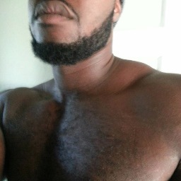 HBGkub's profile picture. Bear in the making...