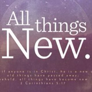 CoachMirko's profile picture. 