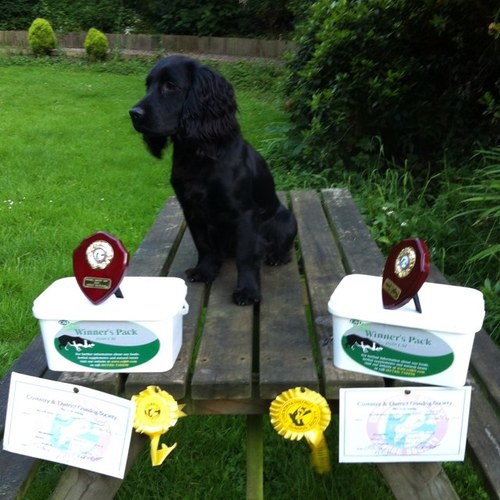 Stewart North has 20 yrs gundog training experience & is one a few professionals in the East Midlands winning Field Trials with both Retrievers & Spaniel