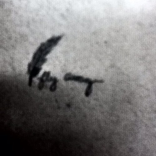 Female. • 19 • Tied Together With A Smile • RIP - November 17th, 2015