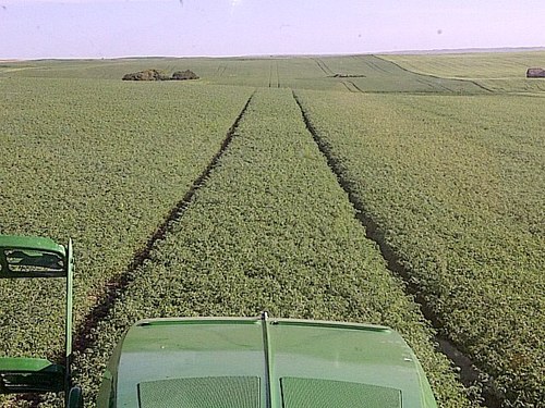 Producing food for the world in Southern Saskatchewan, Canada!