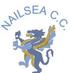 Nailsea Cricket Club (@nailseacricket) Twitter profile photo