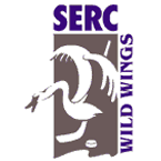 Inoffizieller Pressespiegel zum Eishockey-Team SERC Wild Wings aus Schwenningen