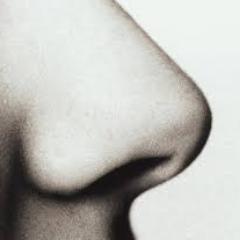 noseproblems's profile picture. You can relate to this if you have a nose so don't follow if you're Lord Voldemort.