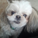 autumn ramirez - @autram75 - Twitter