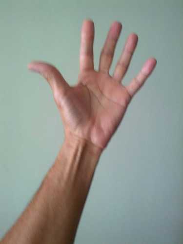 AtilioAnzola's profile picture. 