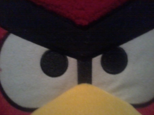 liam248roxs's profile picture. 