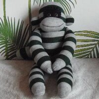 Ste (@steellison) 's Twitter Profile