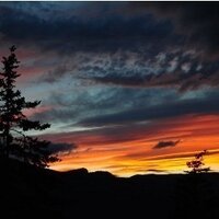 Camp Winfield (@campwinfield) 's Twitter Profile