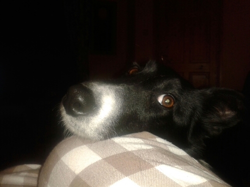 princessmaggyt's profile picture. 