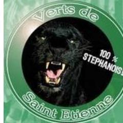 VertsStEtienne's profile picture. 