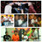 ELCAM809's profile image