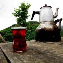 MaviYesilKrdnz's profile picture. Rizelilerin buluşma noktası.