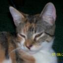 Elisha maxwell - @Elisha101123 - Twitter