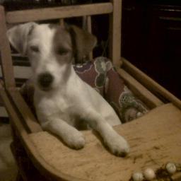 ciindy52190's profile picture. 