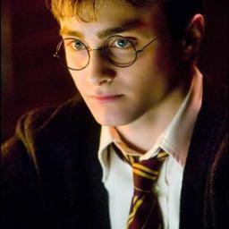 Harry James Potter, hijo de Lily y James Potter. Falso heredero de Slytherin y miembro de la Liga de Quidditch. Alias El Elegido. Casado con Ginny Weasley.