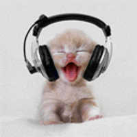 ️️️️️️️️️️️️️️️️️️ (@gifkitties) 's Twitter Profile
