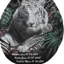 Wayne Marriott - @Mazzer2480 - Twitter