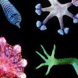 kristin wielenga Profile