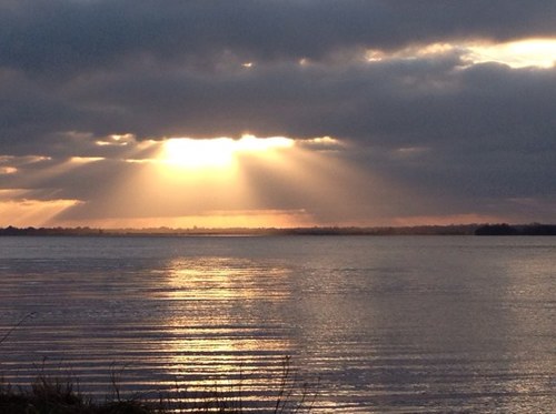 lynnolan's profile picture. 