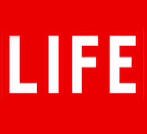 Amaing tweets about life and everything!