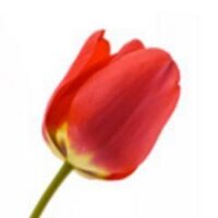 Includeacharity (@includeacharity) 's Twitter Profile Photo