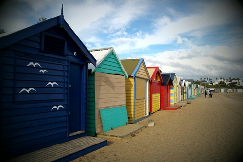 bettyburen's profile picture. 